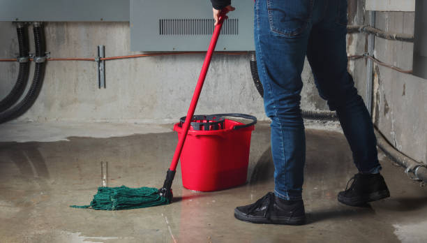 Best Water damage restoration insurance claims  in Lincolnshire, IL