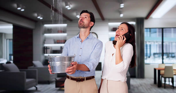 Best Flood restoration services  in Lincolnshire, IL