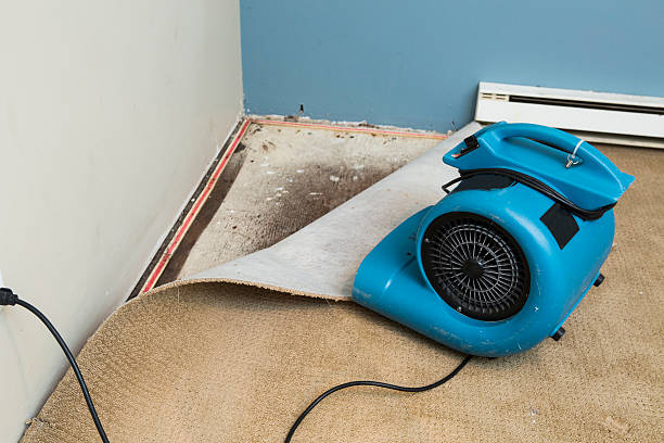 Reliable Lincolnshire, IL Water damage restoration Solutions